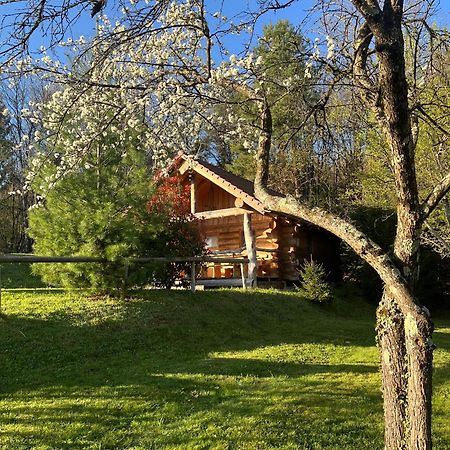 Hut At The Forest Male Brusnice Exterior photo