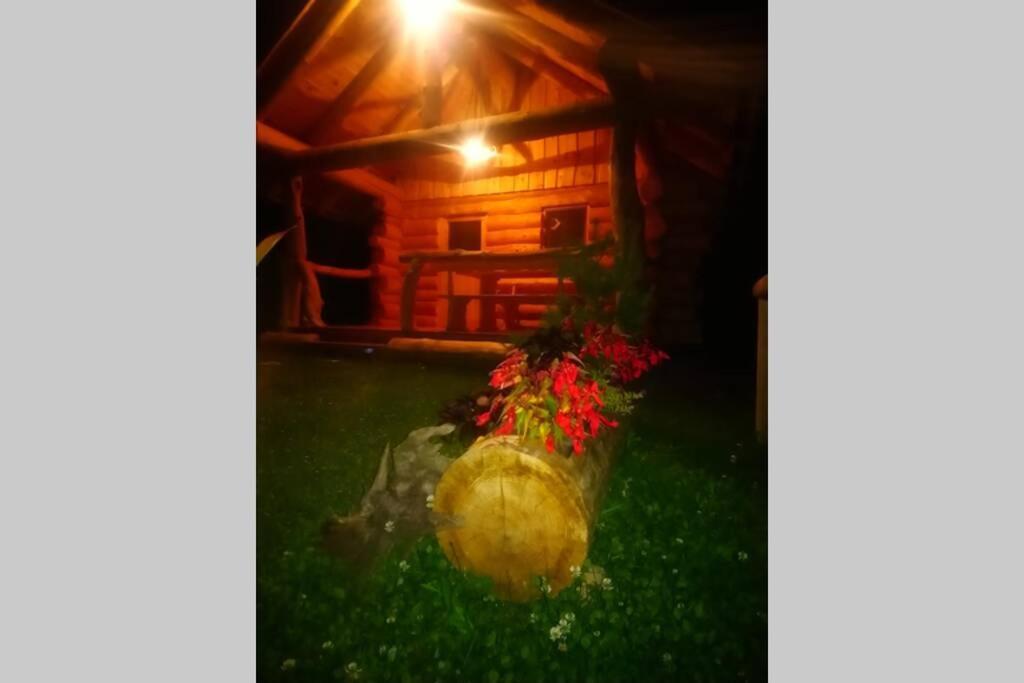 Hut At The Forest Male Brusnice Exterior photo
