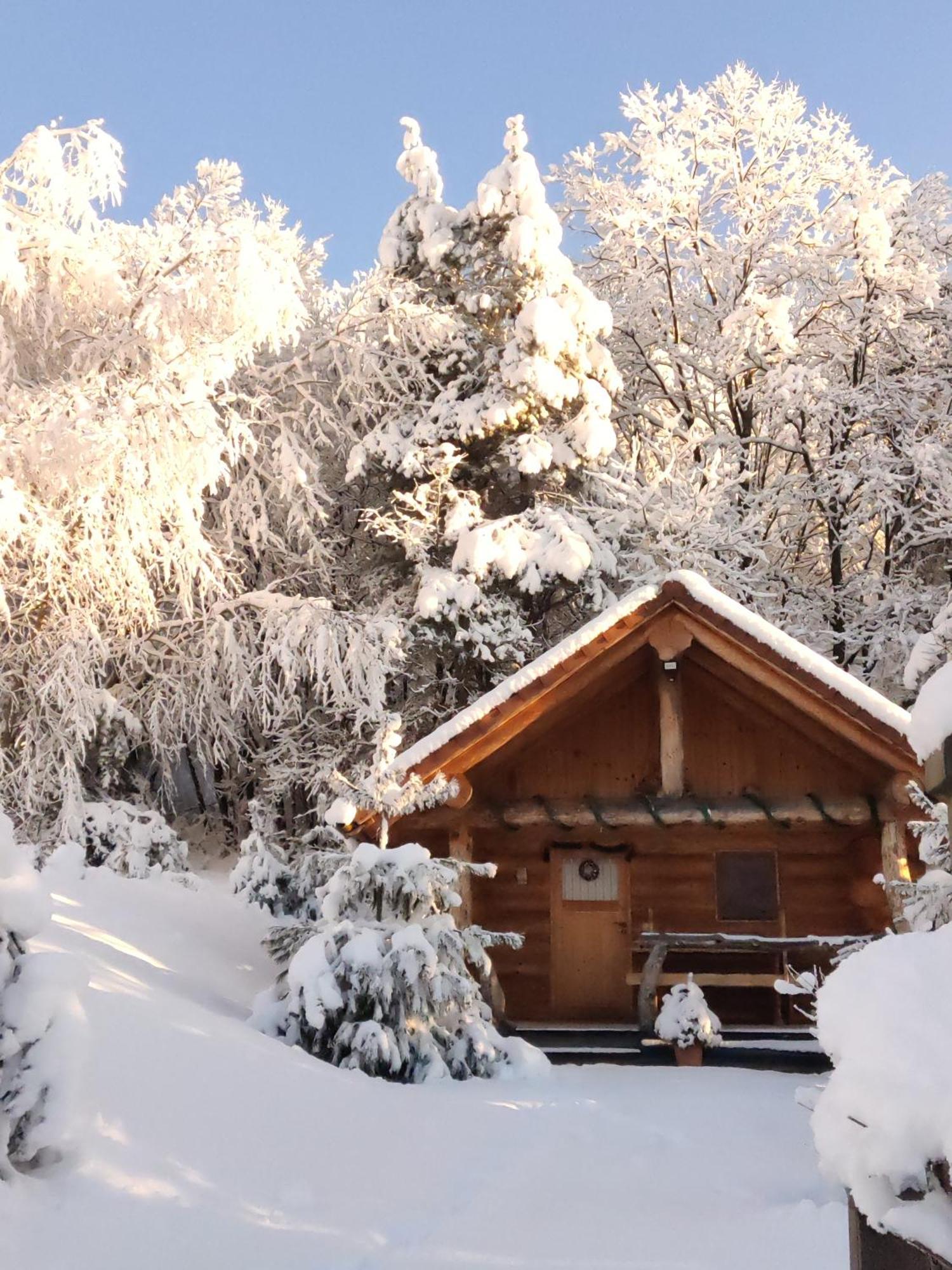 Hut At The Forest Male Brusnice Exterior photo